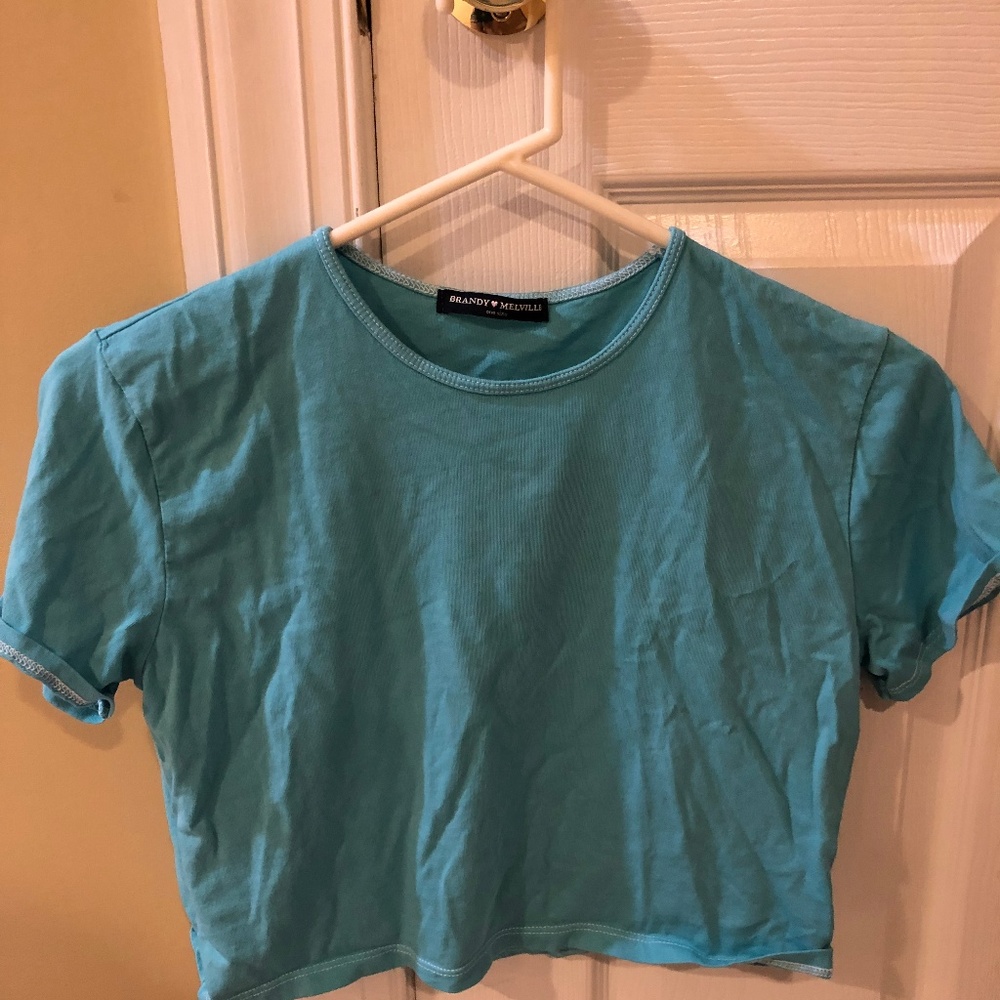 NWOT Brandy Melville Crop Top